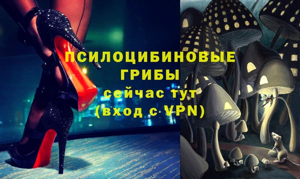 индика Навашино
