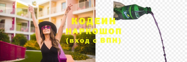 индика Навашино