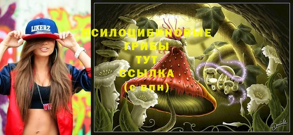 индика Навашино