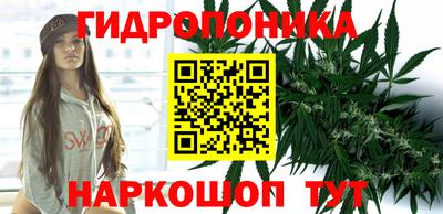 гидра Берёзовский